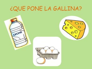 ¿QUE PONE LA GALLINA?
 