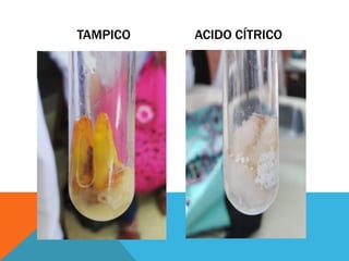 TAMPICO ACIDO CÍTRICO
 