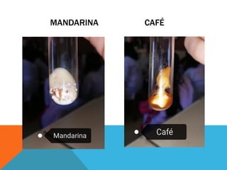 MANDARINA CAFÉ
 