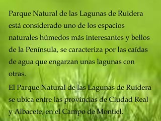 Parque Natural de las Lagunas de Ruidera
está considerado uno de los espacios
naturales húmedos más interesantes y bellos
de la Península, se caracteriza por las caídas
de agua que engarzan unas lagunas con
otras.
El Parque Natural de las Lagunas de Ruidera
se ubica entre las provincias de Ciudad Real
y Albacete, en el Campo de Montiel.
 
