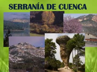 SERRANÍA DE CUENCA
 