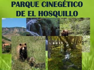 PARQUE CINEGÉTICO
 DE EL HOSQUILLO
 