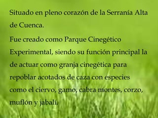 Situado en pleno corazón de la Serranía Alta
de Cuenca.

Fue creado como Parque Cinegético
Experimental, siendo su función principal la
de actuar como granja cinegética para
repoblar acotados de caza con especies
como el ciervo, gamo, cabra montes, corzo,
muflón y jabalí.
 