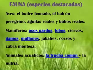 FAUNA (especies destacadas)
Aves: el buitre leonado, el halcón
peregrino, águilas reales y búhos reales.

Mamíferos: osos pardos, lobos, ciervos,
gamos, muflones, jabalíes, corzos y
cabra montesa.

Animales acuáticos: la trucha común y la
nutria.
 