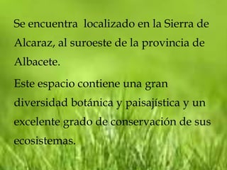 Se encuentra localizado en la Sierra de
Alcaraz, al suroeste de la provincia de
Albacete.
Este espacio contiene una gran
diversidad botánica y paisajística y un
excelente grado de conservación de sus
ecosistemas.
 