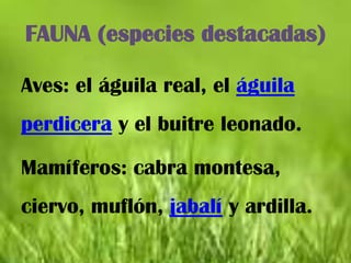 FAUNA (especies destacadas)

Aves: el águila real, el águila
perdicera y el buitre leonado.

Mamíferos: cabra montesa,
ciervo, muflón, jabalí y ardilla.
 