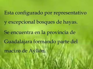 Esta configurado por representativo
y excepcional bosques de hayas.

Se encuentra en la provincia de
Guadalajara formando parte del
macizo de Ayllón.
 