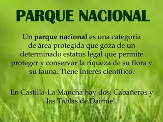 PARQUE NACIONAL
   Un parque nacional es una categoría
     de área protegida que goza de un
  determinado estatus legal que permite
proteger y conservar la riqueza de su flora y
     su fauna. Tiene interés científico.

En Castilla-La Mancha hay dos: Cabañeros y
            las Tablas de Daimiel.
 