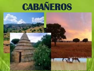 CABAÑEROS
 