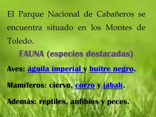 El Parque Nacional de Cabañeros se
encuentra situado en los Montes de
Toledo.
   FAUNA (especies destacadas)
Aves: águila imperial y buitre negro.

Mamíferos: ciervo, corzo y jabalí.

Además: reptiles, anfibios y peces.
 