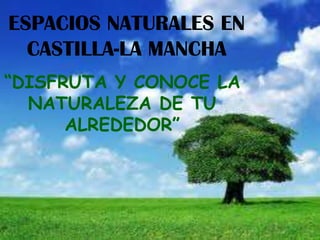 ESPACIOS NATURALES EN
  CASTILLA-LA MANCHA
“DISFRUTA Y CONOCE LA
  NATURALEZA DE TU
      ALREDEDOR”
 