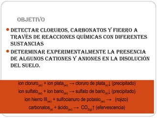 objEtivo
dEtECtaR CloRuRos, CaRbonatos y fiERRo a
tRavés dE REaCCionEs quíMiCas Con difEREntEs
sustanCias
dEtERMinaR ExpERiMEntalMEntE la pREsEnCia
dE alGunos CationEs y anionEs En la disoluCión
dEl suElo.
ion cloruro(ac) + ion plata(ac) → cloruro de plata(s)↓ (precipitado)
ion sulfato(ac) + ion bario(ac) → sulfato de bario(s)↓ (precipitado)
ion hierro III(ac) + sulfocianuro de potasio(ac) → (rojizo)
carbonatos(s) + ácido(ac) → CO2(g)↑ (efervescencia)
 