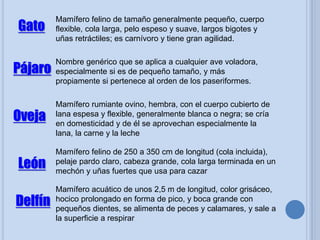 Gato
Mamífero felino de tamaño generalmente pequeño, cuerpo
flexible, cola larga, pelo espeso y suave, largos bigotes y
uñas retráctiles; es carnívoro y tiene gran agilidad.
Pájaro
Nombre genérico que se aplica a cualquier ave voladora,
especialmente si es de pequeño tamaño, y más
propiamente si pertenece al orden de los paseriformes.
Oveja
Mamífero rumiante ovino, hembra, con el cuerpo cubierto de
lana espesa y flexible, generalmente blanca o negra; se cría
en domesticidad y de él se aprovechan especialmente la
lana, la carne y la leche
León
Mamífero felino de 250 a 350 cm de longitud (cola incluida),
pelaje pardo claro, cabeza grande, cola larga terminada en un
mechón y uñas fuertes que usa para cazar
Delfín
Mamífero acuático de unos 2,5 m de longitud, color grisáceo,
hocico prolongado en forma de pico, y boca grande con
pequeños dientes, se alimenta de peces y calamares, y sale a
la superficie a respirar