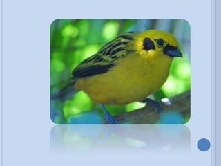 Prctica4 141214234315-conversion-gate01