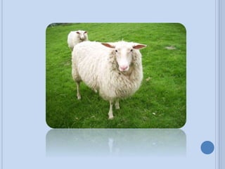 Prctica4 141214234315-conversion-gate01