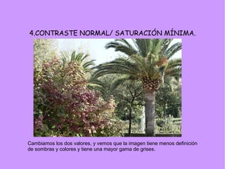 4.CONTRASTE NORMAL/ SATURACIÓN MÍNIMA.
Cambiamos los dos valores, y vemos que la imagen tiene menos definición
de sombras y colores y tiene una mayor gama de grises.
 