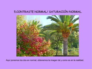 5.CONTRASTE NORMAL/ SATURACIÓN NORMAL.
Aquí ponemos los dos en normal, obtenemos la imagen tal y como es en la realidad.
 