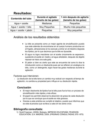 4
Resultados:
Contenido del tubo
Durante el agitado
(tamaño de las gotas)
1 min después de agitarlo
(tamaño de las gotas)
Agua + aceite Medianas Pequeñas
Agua + aceite + bilis Muy Pequeñas Mucho más pequeñas
Agua + aceite + jabón Pequeñas Muy pequeñas
Análisis de los resultados obtenidos
• La bilis se presenta como un mejor agente de emulsificación puesto
que este además de encontrarse en el cuerpo humano producirse en
el hígado, almacenarse en la vesícula y entrar en el intestino degrada
los lípidos, por lo que decimos que la bilis es líposoble.
• El agua no logro mezclarse con el aceite únicamente se separaron,
quedando el aceite en medio y el agua alrededor, después de dejarlo
reposar se hace una sola gota.
• El jabón si bien es cierto que este se encuentra tal como lo dice la
introducción como un disolvente pues así se refieren en analogía a la
bilis, como un detergente, logro hacer las gotas medianas durante la
agitación.
Factores que intervienen:
- La disolución de la bilis tiene un cambio muy radical con respecto al tiempo de
agitación, no cambia su propiedad pero influye en su disolución rápida.
Conclusión
• El mejor disolvente de lípidos fue la bilis pues fue la hizo un proceso de
emulsificación más rápida y más eficaz.
• El papel nos permitió observar la absorción de grasa de cada disolución
por lo que se concluye que el aceite es más grasoso.
• Gracias a esta práctica se cumplió el objetivo, puesto que inferimos que
es este el proceso que se lleva a cabo en los seres vivos
Bibliografía consultada:
1) Scott Freeman. (2009). Biología. IMPRESO EN ESPAÑA: PEARSON
EDUCATIÓN, S.A. MADRID, 2009. (PÁGINAS CONSULTADAS; 970 -975)
 