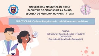 CURSO:
Estructura y Función Celular y Tisular II
DOCENTES:
Dra. Julia Violeta Morín Garrido (10)
UNIVERSIDAD NACIONAL DE PIURA
FACULTAD DE CIENCIAS DE LA SALUD
ESCUELA DE MEDICINA HUMANA - I - 2023
PRÁCTICA 04: Cadena Respiratoria: Inhibidores enzimáticos
 