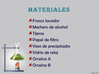MATERIALES
Frasco lavador
Mechero de alcohol
Tijeras
Papel de filtro
Vaso de precipitados
Vidrio de reloj
Orceína A
Orceína B
 