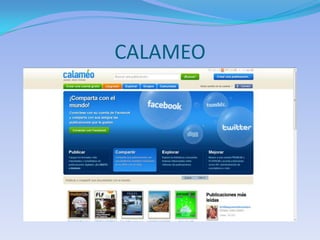 CALAMEO
 