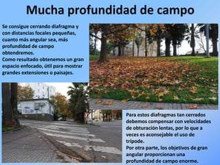 Mucha profundidad de campo
Se consigue cerrando diafragma y
con distancias focales pequeñas,
cuanto más angular sea, más
profundidad de campo
obtendremos.
Como resultado obtenemos un gran
espacio enfocado, útil para mostrar
grandes extensiones o paisajes.
Para estos diafragmas tan cerrados
debemos compensar con velocidades
de obturación lentas, por lo que a
veces es aconsejable el uso de
trípode.
Por otra parte, los objetivos de gran
angular proporcionan una
profundidad de campo enorme.
 