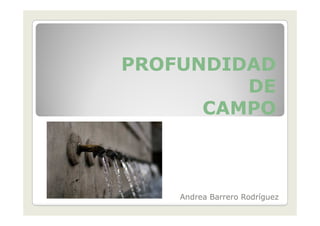 PROFUNDIDAD
         DE
      CAMPO



    Andrea Barrero Rodríguez
 