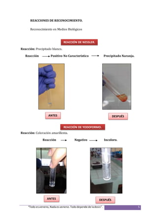 “Todo esveneno,Nadaesveneno.Tododepende de ladosis”. 5
REACCIONES DE RECONOCIMIENTO.
Reconocimiento en Medios Biológicos
Reacción: Precipitado blanco.
Reacción Positivo No Característico Precipitado Naranja.
Reacción: Coloración amarillenta.
Reacción Negativo Incoloro.
REACCIÓN DE YODOFORMO.
REACCIÓN DE NESSLER.
ANTES
ANTES
DESPUÉS
DESPUÉS
 