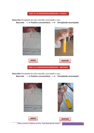 “Todo esveneno,Nadaesveneno.Tododepende de ladosis”. 7
Reacción: Precipitado de color amarillo, anaranjado o rojo.
Reacción Positivo característico Precipitado anaranjado.
Reacción: Precipitado de color amarillo, anaranjado o rojo.
Reacción Positivo característico Precipitado anaranjado.
ANTES DESPUÉS
ANTES DESPUÉS
CON LA 2:4 DINITROFENILHIDRACINA +ETANOL.
CON LA 2:4 DINITROFENILHIDRACINA + METANOL.
 