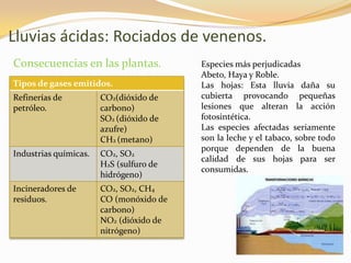 Lluvias ácidas: Rociados de venenos.
Consecuencias en las plantas.            Especies más perjudicadas
                                         Abeto, Haya y Roble.
Tipos de gases emitidos.                 Las hojas: Esta lluvia daña su
Refinerías de          CO2(dióxido de    cubierta provocando pequeñas
petróleo.              carbono)          lesiones que alteran la acción
                       SO2 (dióxido de   fotosintética.
                       azufre)           Las especies afectadas seriamente
                       CH2 (metano)      son la leche y el tabaco, sobre todo
                                         porque dependen de la buena
Industrias químicas.   CO2, SO2
                                         calidad de sus hojas para ser
                       H2S (sulfuro de
                                         consumidas.
                       hidrógeno)
Incineradores de       CO2, SO2, CH4
residuos.              CO (monóxido de
                       carbono)
                       NO2 (dióxido de
                       nitrógeno)
 