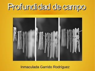Profundidad de campo




   Inmaculada Garrido Rodríguez
 
