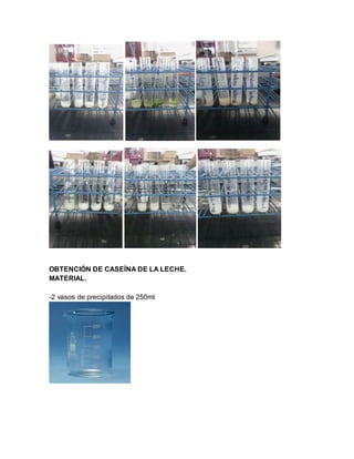 OBTENCIÓN DE CASEÍNA DE LA LECHE.
MATERIAL.
-2 vasos de precipitados de 250ml
 