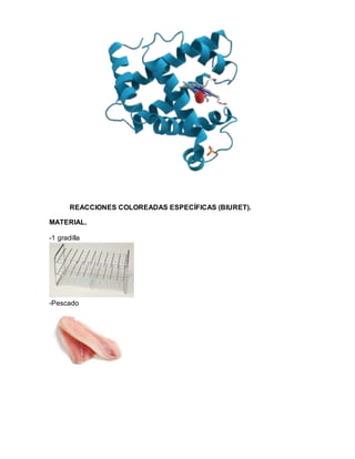 REACCIONES COLOREADAS ESPECÍFICAS (BIURET).
MATERIAL.
-1 gradilla
-Pescado
 
