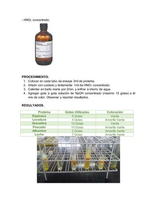 - HNO3 concentrado
PROCEDIMIENTO.
1. Colocar en cada tubo de ensaye 3ml de proteína.
2. Añadir con cuidado y lentamente 1ml de HNO3 concentrado.
3. Calentar en baño maría por 2min, y enfriar a chorro de agua.
4. Agregar gota a gota solución de NaOH concentrado (máximo 10 gotas) a él
vire de color. Observar y reportar resultados.
RESULTADOS.
Proteína Gotas Utilizadas Coloración
Espinaca 5 Gotas Verde
Levadura 4 Gotas Amarillo fuerte
Grenetina 10 Gotas Verde
Pescado 10 Gotas Amarillo fuerte
Albumina 3 Gotas Amarillo fuerte
Leche 7 Gotas Amarillo fuerte
 