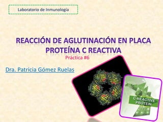 Dra. Patricia Gómez Ruelas
Práctica #6
Laboratorio de Inmunología
 