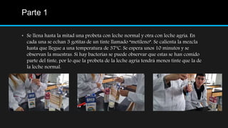 Parte 1
• Se llena hasta la mitad una probeta con leche normal y otra con leche agria. En
cada una se echan 3 gotitas de un tinte llamado “metileno”. Se calienta la mezcla
hasta que llegue a una temperatura de 37ºC. Se espera unos 10 minutos y se
observan la muestras. Si hay bacterias se puede observar que estas se han comido
parte del tinte, por lo que la probeta de la leche agria tendrá menos tinte que la de
la leche normal.
 