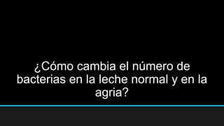 ¿Cómo cambia el número de
bacterias en la leche normal y en la
agria?
 