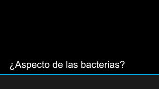 ¿Aspecto de las bacterias?
 