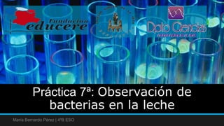 Práctica 7ª: Observación de
bacterias en la leche
María Bernardo Pérez | 4ºB ESO
 