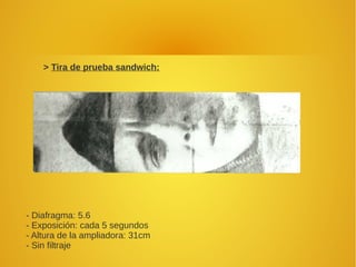 > Tira de prueba sandwich:
- Diafragma: 5.6
- Exposición: cada 5 segundos
- Altura de la ampliadora: 31cm
- Sin filtraje
 