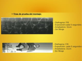 > Tiras de prueba del montaje:
- Diafragma: F/8
- Exposición:cada 5 segundos
- Ampliadora: 31cm
- Sin filtraje
- Diafragma: F/8
- Exposición: cada 5 segundos
- Ampliadora: 31cm
- Sin filtraje
 