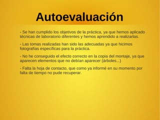 Autoevaluación
- Se han cumplido los objetivos de la práctica, ya que hemos aplicado
técnicas de laboratorio diferentes y hemos aprendido a realizarlas.
- Las tomas realizadas han sido las adecuadas ya que hicimos
fotografías específicas para la práctica.
- No he conseguido el efecto correcto en la copia del montaje, ya que
aparecen elementos que no debían aparecer (árboles...)
- Falta la hoja de contacto, que como ya informé en su momento por
falta de tiempo no pude recuperar.
 