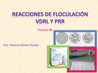 Dra. Patricia Gómez Ruelas
Práctica #8
 