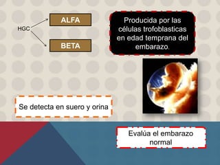 HGC
ALFA
BETA
Producida por las
células trofoblasticas
en edad temprana del
embarazo.
Se detecta en suero y orina
Evalúa el embarazo
normal
 