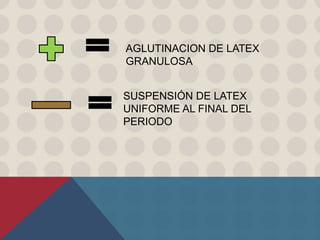 AGLUTINACION DE LATEX
GRANULOSA
SUSPENSIÓN DE LATEX
UNIFORME AL FINAL DEL
PERIODO
 