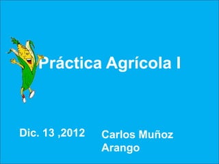 Práctica Agrícola I



Dic. 13 ,2012   Carlos Muñoz
                Arango
 