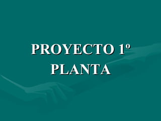 PROYECTO 1º PLANTA 