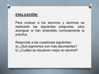 EVALUACIÓN:
Para evaluar a los alumnos y alumnas se
realizarán las siguientes preguntas, para
averiguar si han entendido correctamente la
práctica.
Responde a las cuestiones siguientes:
a) ¿Qué pigmentos son más abundantes?
b) ¿Cuáles se disuelven mejor en alcohol?
 
