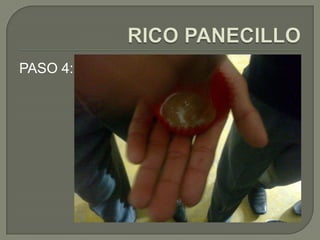 PASO 4:

 