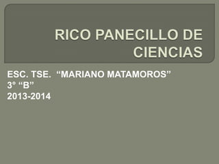 ESC. TSE. “MARIANO MATAMOROS”
3° “B”
2013-2014

 